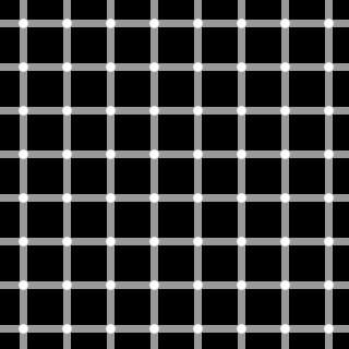 320px-grid_illusionsvg.png