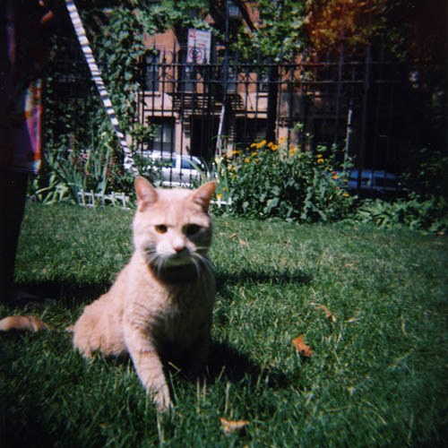 holga27